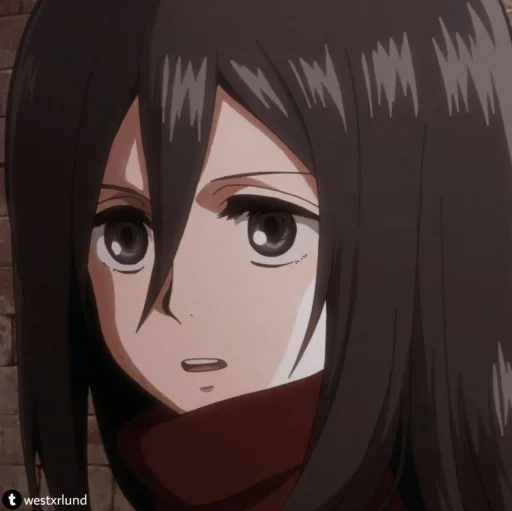 Mikasa ackerman⚔️ - 
