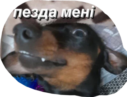 Стикер МІКІ - 11