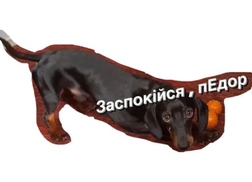 Стикер МІКІ - 10