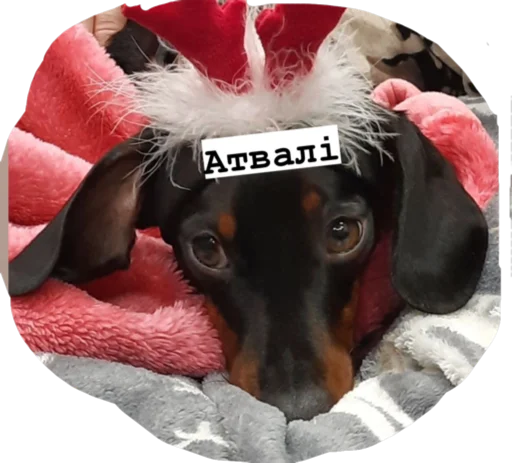 Стикер МІКІ - 9