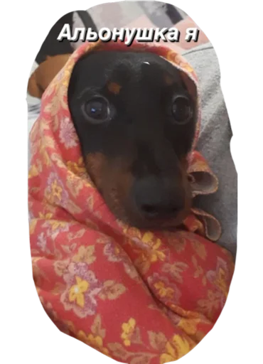 Стикер МІКІ - 7