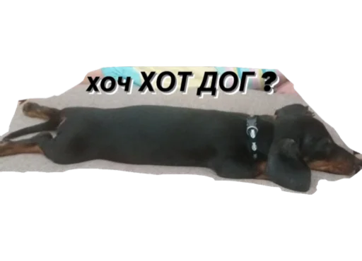 Стикер МІКІ - 5