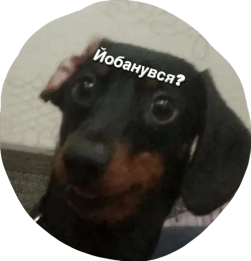 Стикер МІКІ - 3