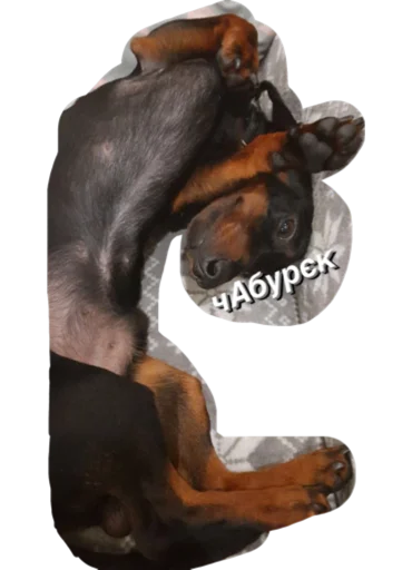 Стикер МІКІ - 2