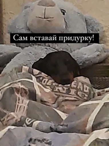 Стикер МІКІ - 1