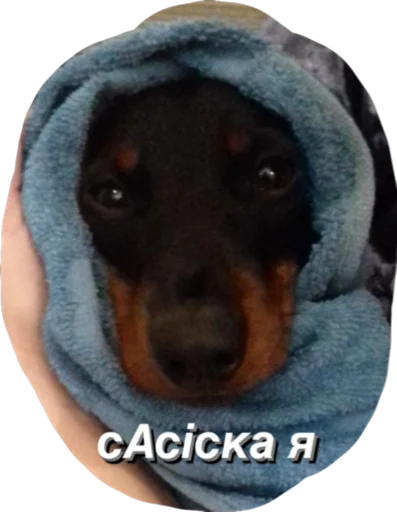 Стикер МІКІ - 0