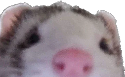 Sticker Miko.jpeg - 11