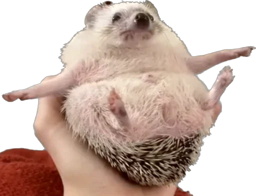 Sticker Miko.jpeg - 10