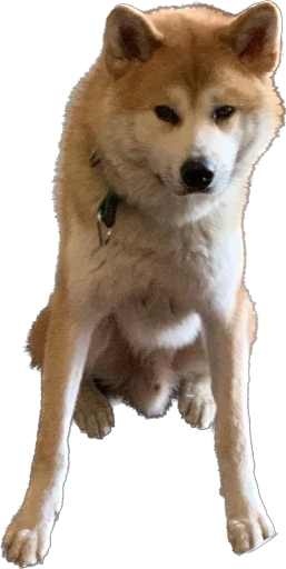 Sticker Miko.jpeg - 5