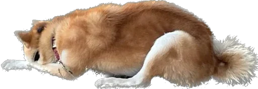 Sticker Miko.jpeg - 4