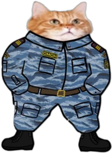 одежда животное млекопитающее