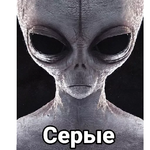 Sticker Mila by @stqrapp - 3