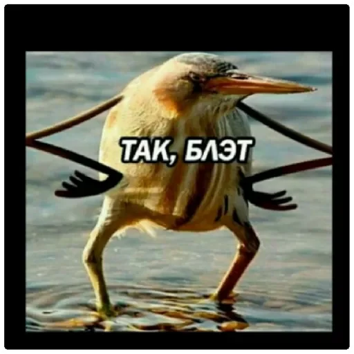 Стикер Mila by @stqrapp - 3