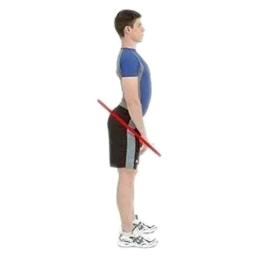 Милана биология - 