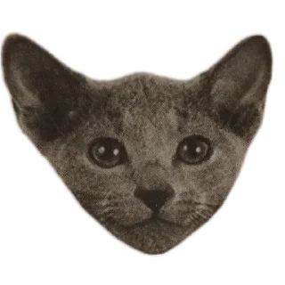 Стикер Милана биология - 0