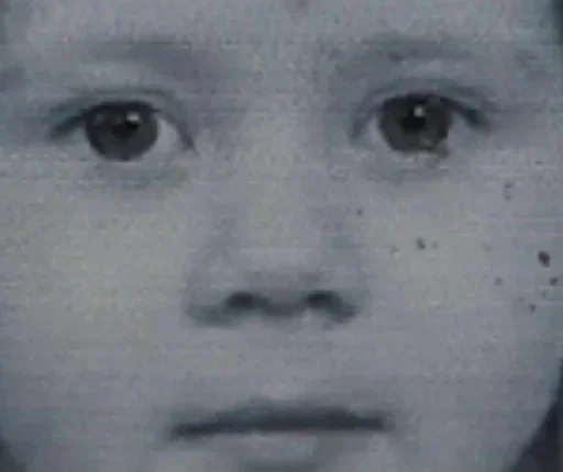 human face eyebrow cheek