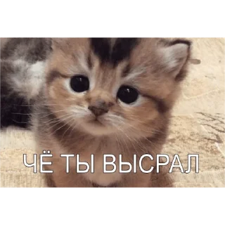 Стикер Милые мрази - 6