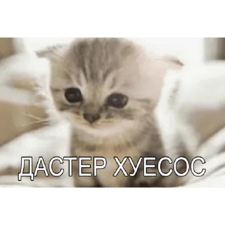 Стикер Милые мрази - 3