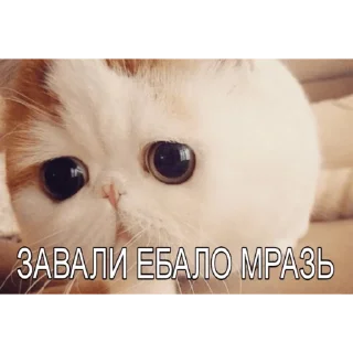 Стикер Милые мрази - 8