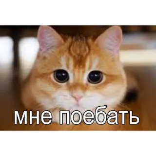 Стикер Милые мрази - 7