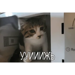 Стикер Милые мрази - 10