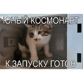 Стикер Милые мрази - 4