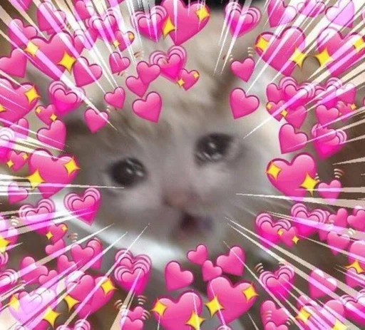 Ti milavkaa :: @fStikBot - 