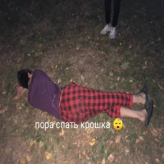 Sticker Мелведи - 11