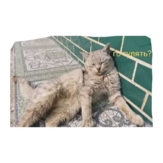 Sticker Милые котики - 5