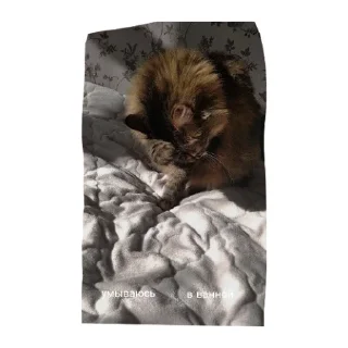 Sticker Милые котики - 3