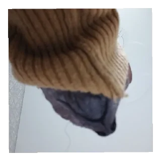 Sticker Мимиянапусибумтурба - 1