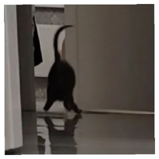 Sticker Мимиянапусибумтурба - 11