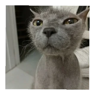 Sticker Мимиянапусибумтурба - 4