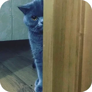 Стикер Mine - 1