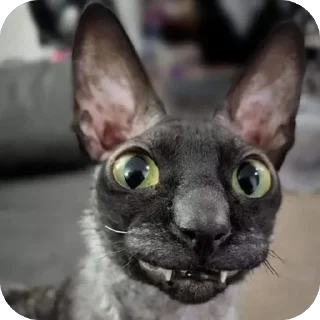 Стикер Mine - 7