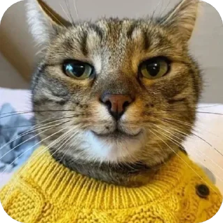 Стикер Mine - 5