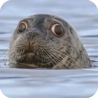 Стикер Mine - 4