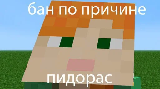 Sticker MinecraftShera - 1