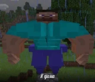 Sticker Майнкрафт Шера - 1