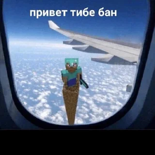 Sticker Майнкрафт Шера - 0