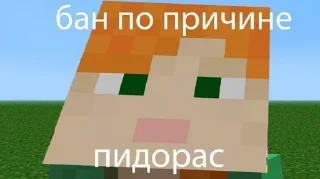 Sticker Майнкрафт Шера - 8