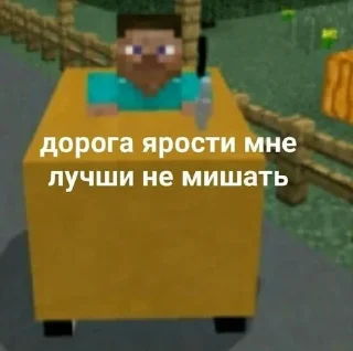 Sticker Майнкрафт Шера - 11