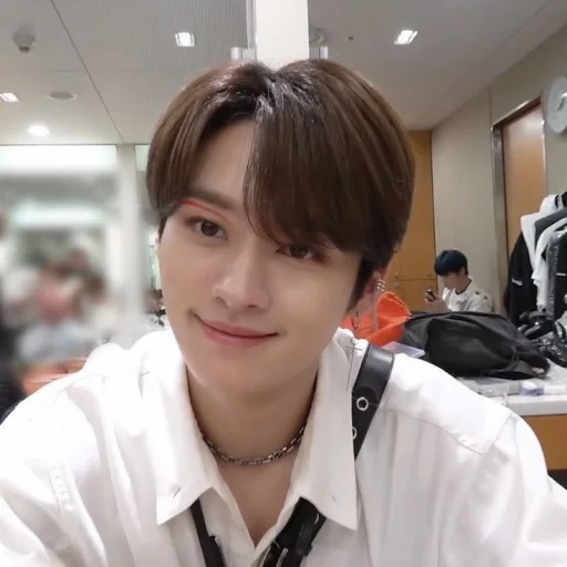 Sticker LEE MINHO STRAY KIDS - 11