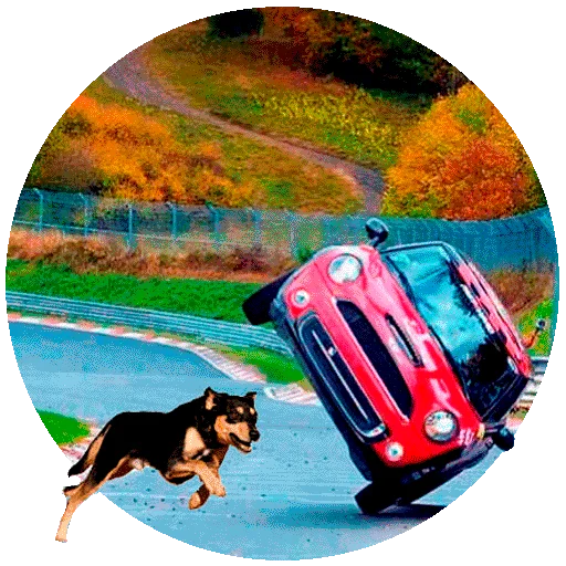 Стикер MiniMotorsport - 1