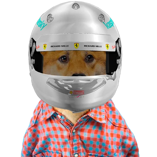 Sticker MiniMotorsport - 1