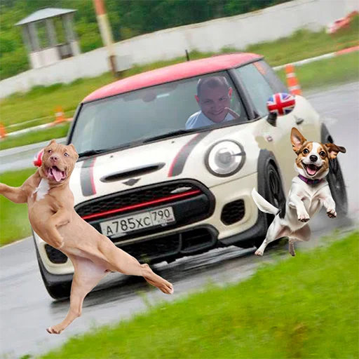 Стикер MiniMotorsport - 1