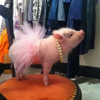 Sticker Поросюшки 🐽 - 8