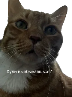 Стикер Hot minka - 7