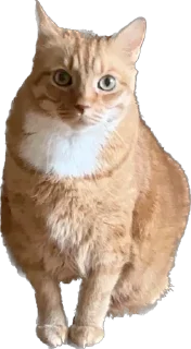 Стикер Hot minka - 11