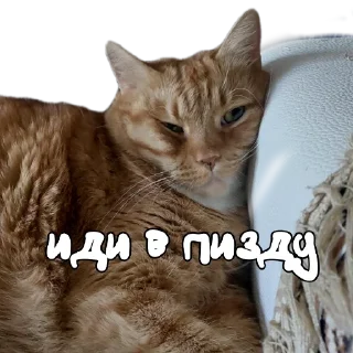 Стикер Hot minka - 5